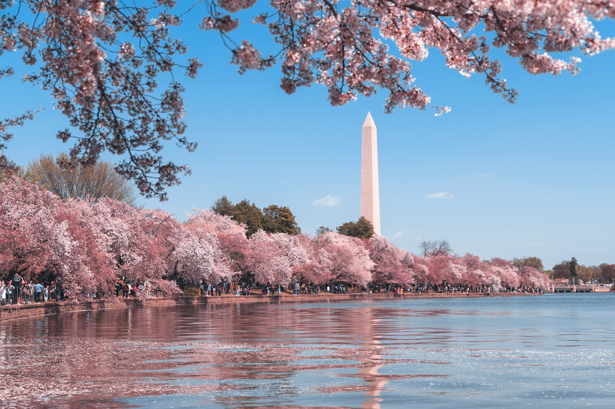 Washington DC Skyline