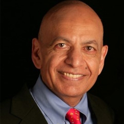 Photo of Mr. Anil K. Gupta, Professor.